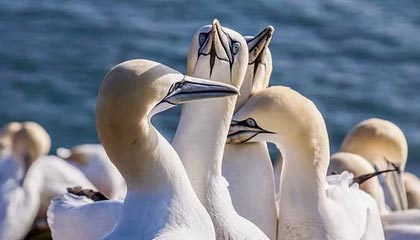 开云体育在线登入-球队内部风波：某俱乐部管理层引发众怒，球队管理方案